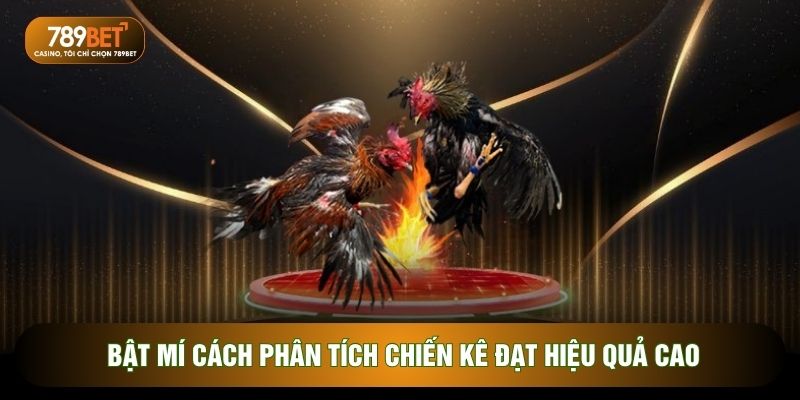 Đá Gà Cựa Sắt - Nghệ Thuật Cá Cược Đỉnh Cao Và Kịch Tính Tại 789Bet