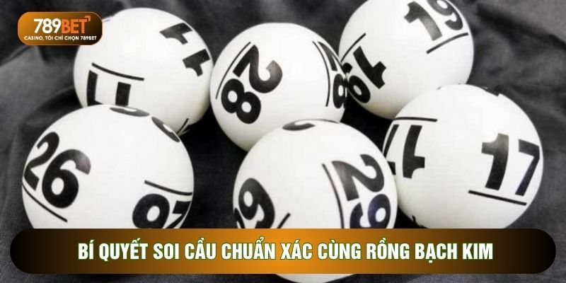 Rồng Bạch Kim 666 Công Cụ Dự Đoán Xổ Số Được Tin Dùng Nhất