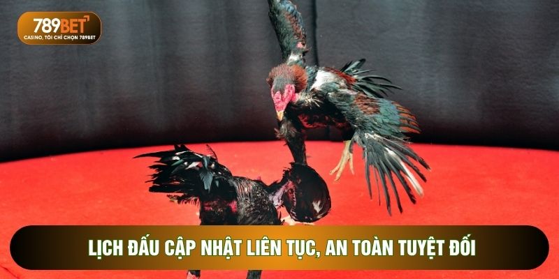 Đá Gà 789BET - 5 Hình Thức Có Tỷ Lệ Thưởng Cạnh Tranh