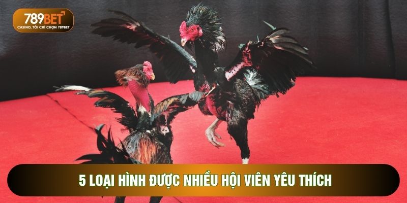 Đá Gà 789BET - 5 Hình Thức Có Tỷ Lệ Thưởng Cạnh Tranh