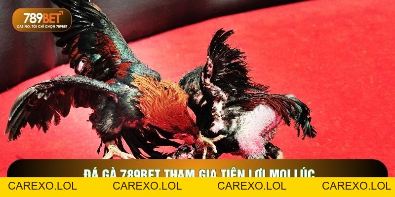 Đá Gà 789BET - 5 Hình Thức Có Tỷ Lệ Thưởng Cạnh Tranh