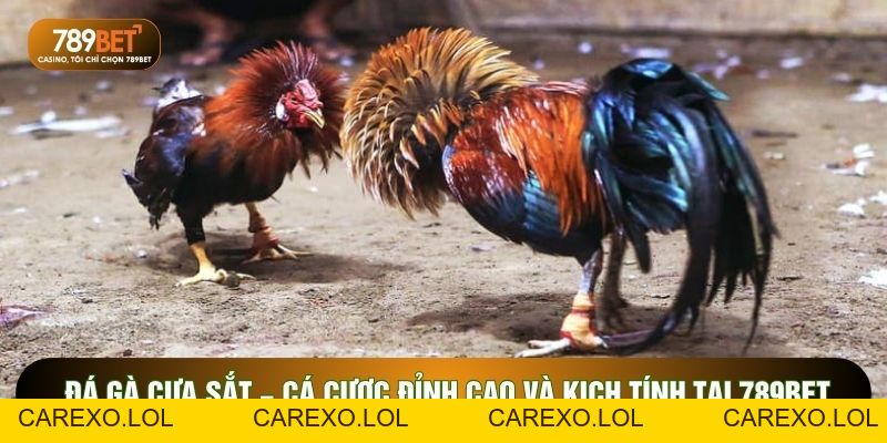 Mẹo Cá Cược 789BET – Bí Kíp Soi Kèo Và Thủ Thuật Thắng Lớn 2026