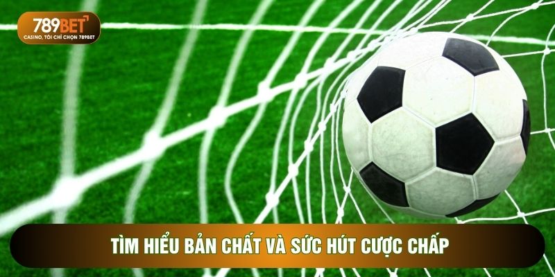 Kèo châu Á - Cách Tính Tiền Thắng Thua Cực Chuẩn