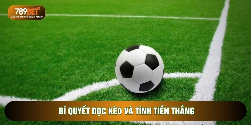 Kèo Phạt Góc - Hướng Dẫn Cách Đọc Kèo Luôn Thắng Cho Tân Thủ