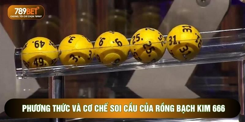Rồng Bạch Kim 666 Công Cụ Dự Đoán Xổ Số Được Tin Dùng Nhất