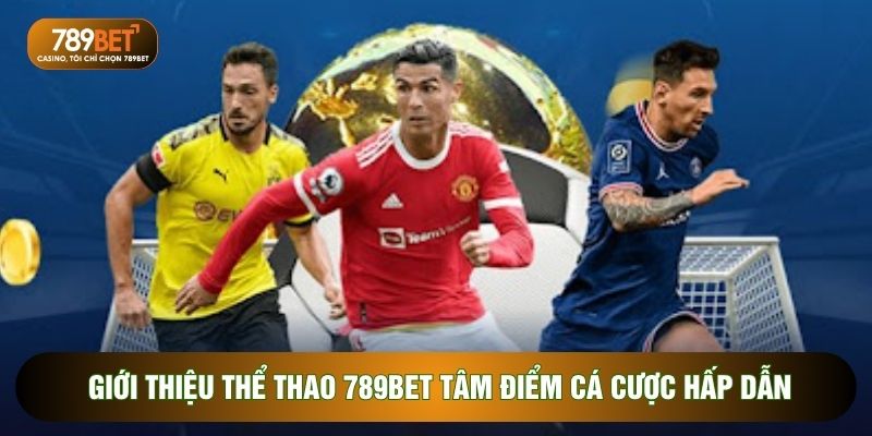 Thể Thao 789BET - Sân Chơi Cá Cược Đỉnh Cao Nên Biết 2026